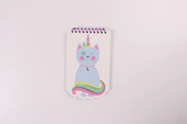 Spiral notebook