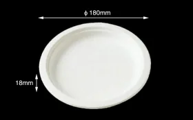 Disposable tableware 7" Round Plate