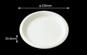 Sugarcane tableware 9" Round Plate