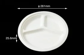Sugarcane fiber compostable tableware 10" 3compartments Round Plate