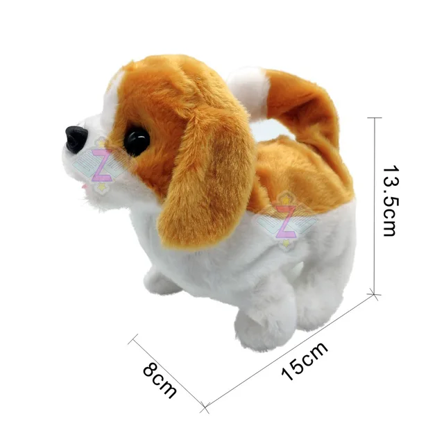 Beagle
