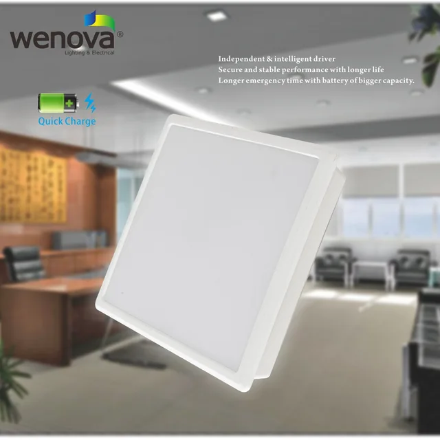 LED Emergency Down Light