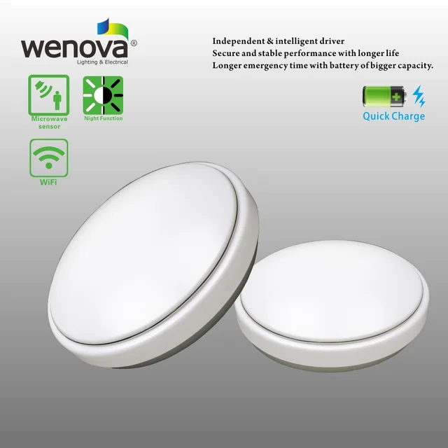LED Emergency Ceiling Lamp