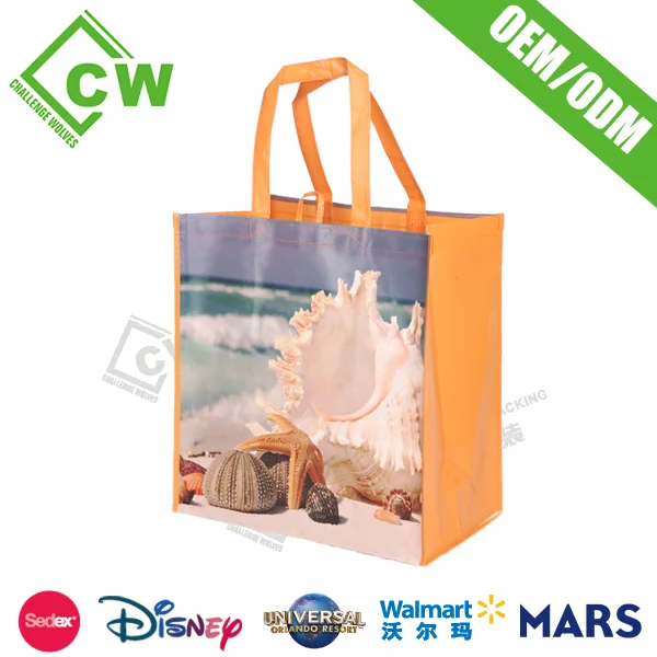 Shopping Bag