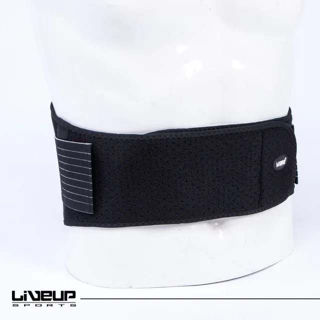 Waist Support