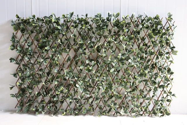 Artificial leaf