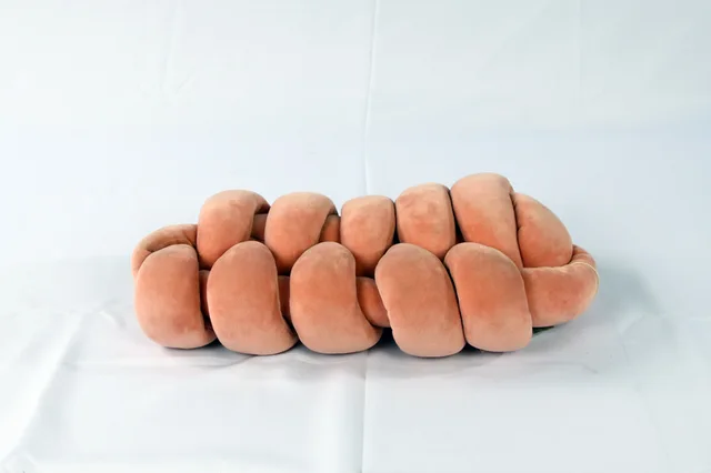 Cushion