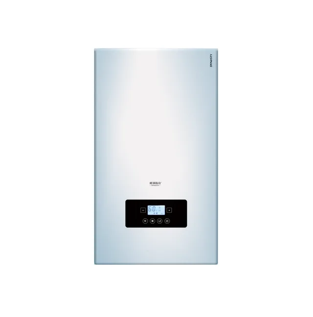 Atmospheric Wall Hung Gas Boiler