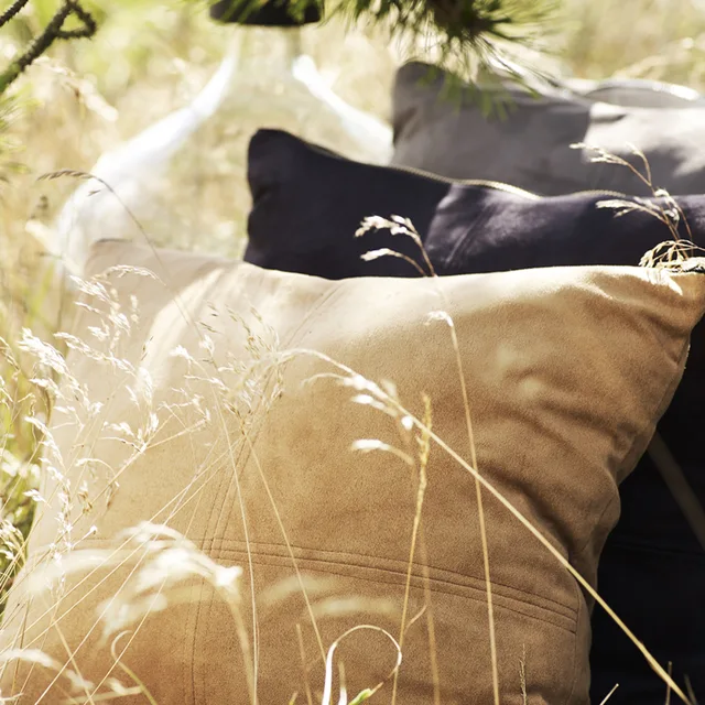 Cushion
