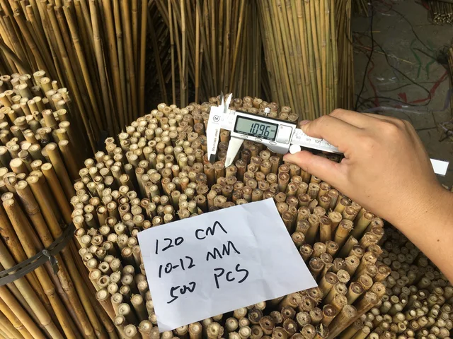 Bamboo Cane / Bamboo Pole / Bamboo Stake
