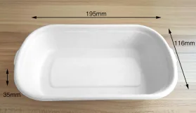 500ml Salad Box