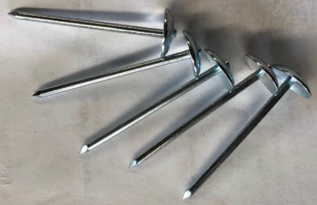 Roofing Nail