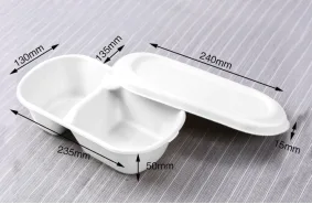 850ml 2compartments Salad Box