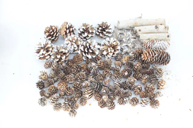 Natural pinecones
