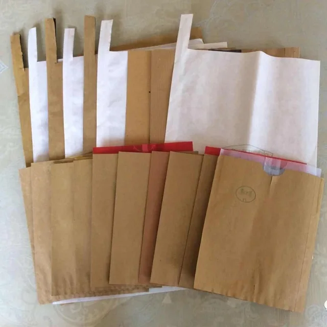 Fruit growing protection bag