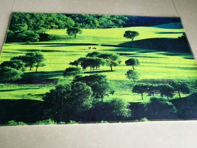 Rug, mat