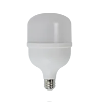LED T High Power Lamp