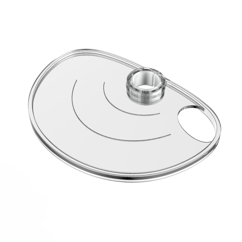 Soap plate dish