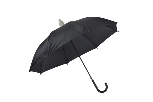 Waterproof cover umbrella