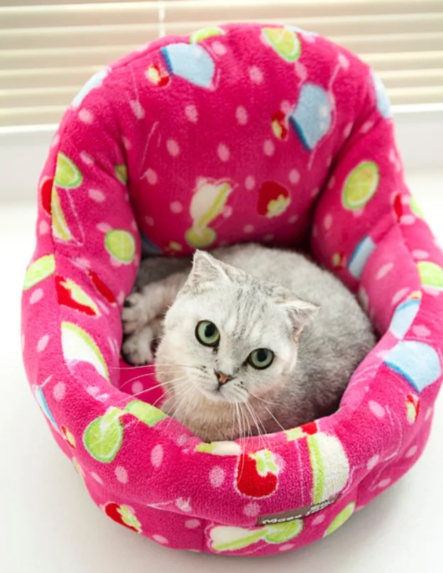 Cat bed