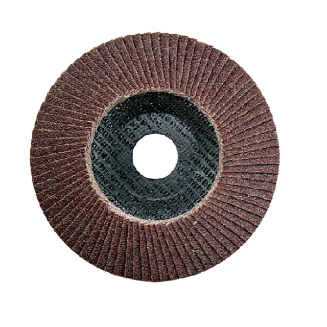 Sanding mop flap for steel
