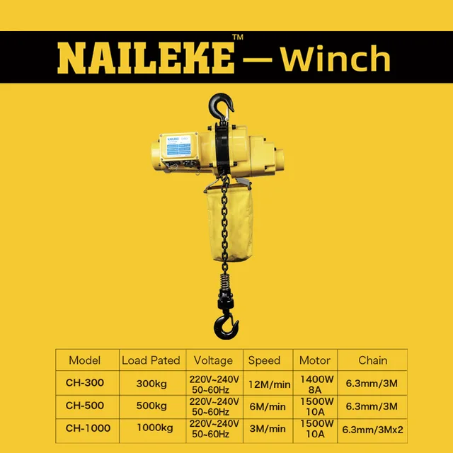 Electric Hoist