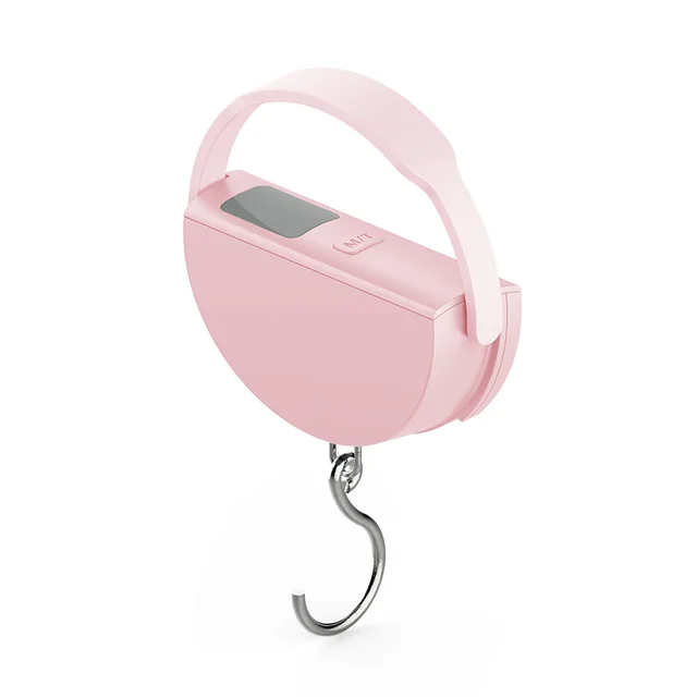 Luggage scale