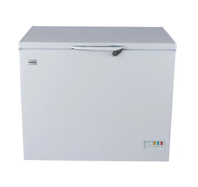 Chest Freezer