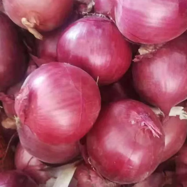 2021 Fresh Red Onion