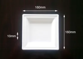 Disposable paper pulp tableware 6" Square Plate