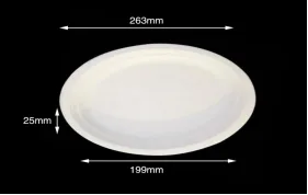 Compostable tableware 10" Oval Plate