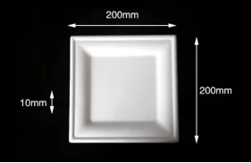 Disposable biodegradable tableware 8" Square Plate