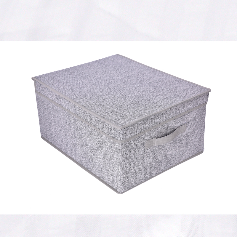 Storage Box with Flip-top Lid