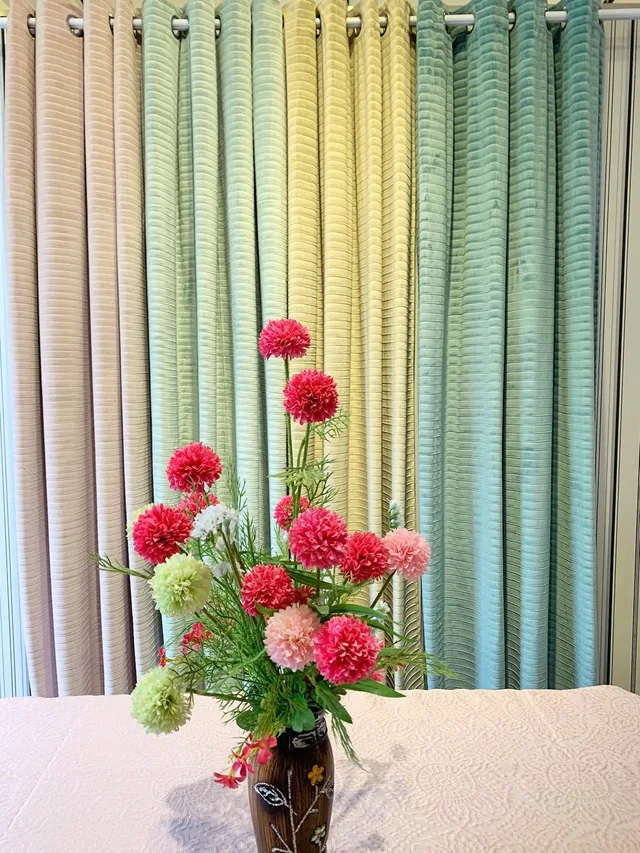 Window Curtain