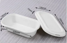 850ml Salad Box