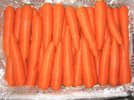 Fresh carrot