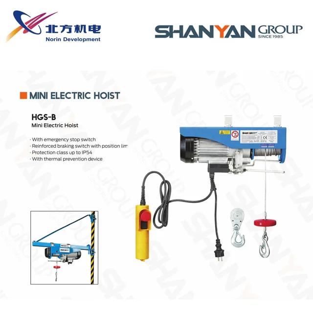Electric hoist