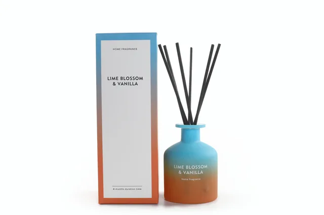 Glass Reed Diffuser Aroma Diffusers Gift Box Fragrance for Christmas Holiday Decoration