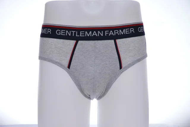 Men's briefs