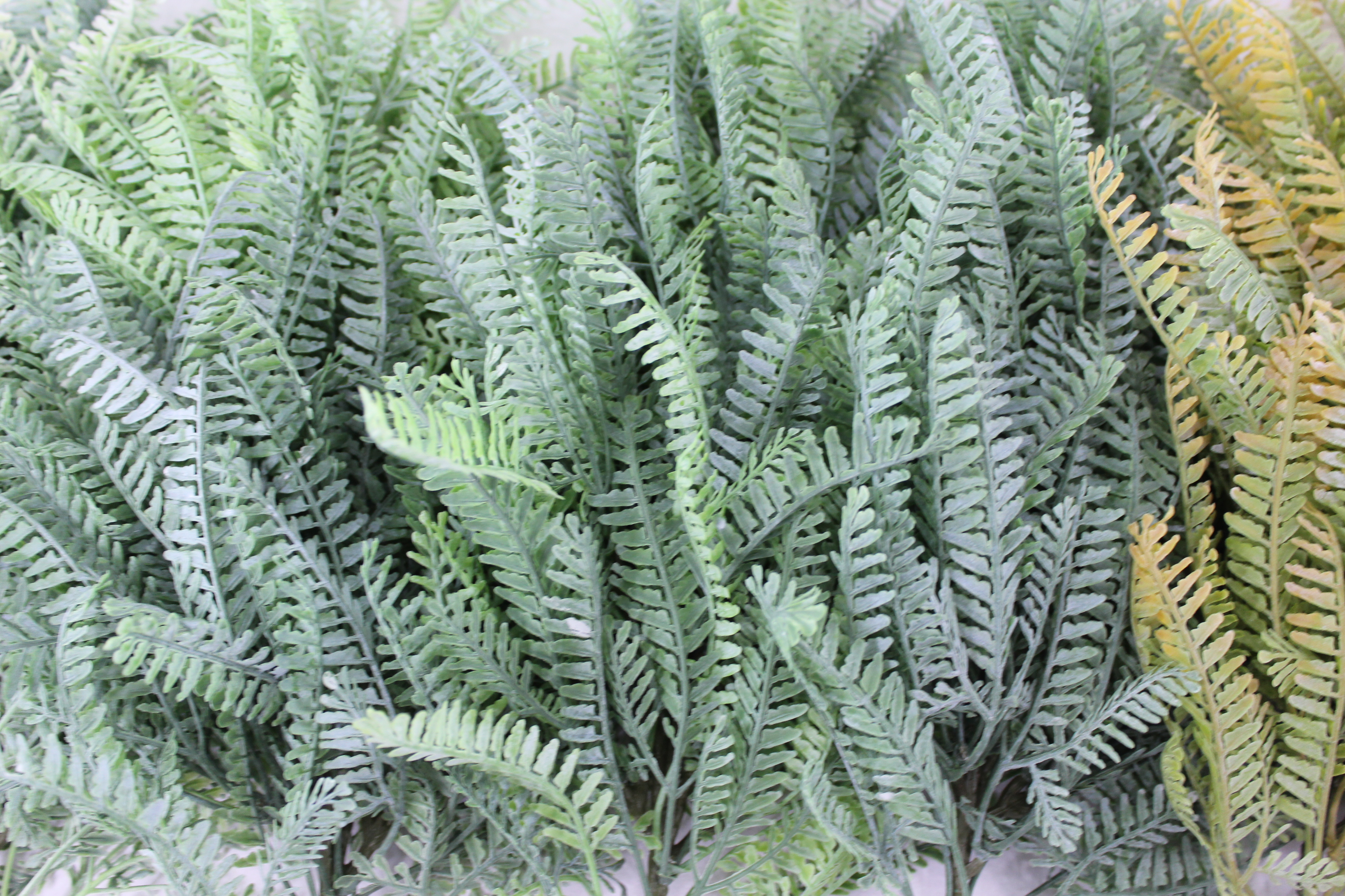 Plastic plant