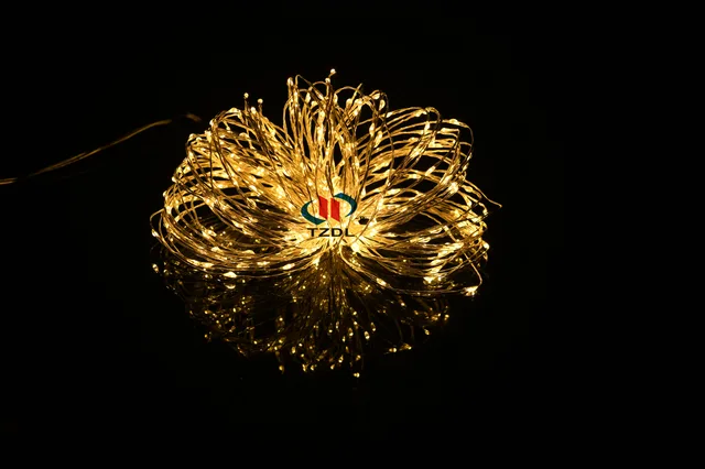Lighting equipment/ copper wire micro LED string battery light(outdoor use)