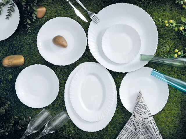 Flat Plate /Soup Plate/Oval Plate