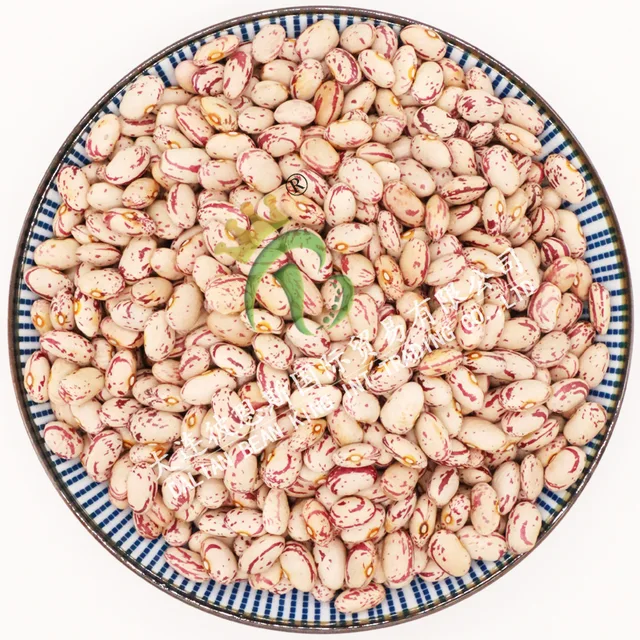 Light Speckled Kidneybeans-American Round Shape