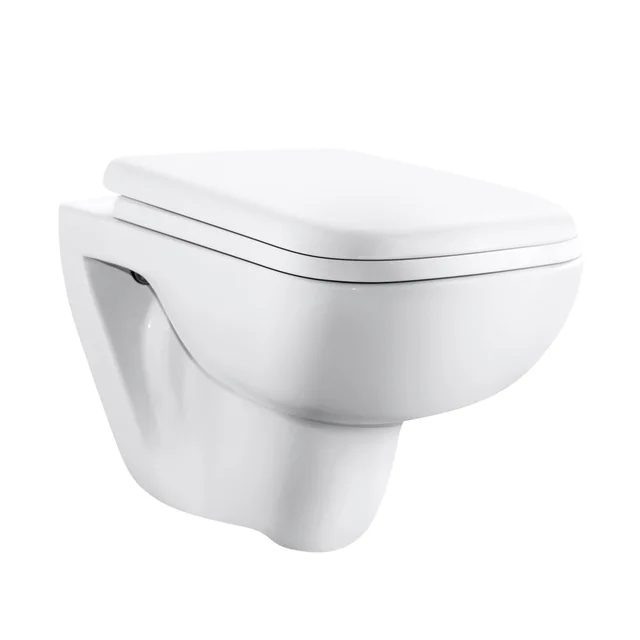 Wall hung toilet