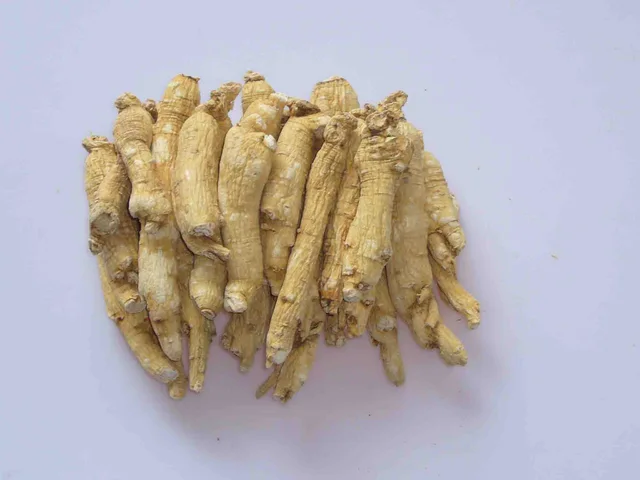Ginseng