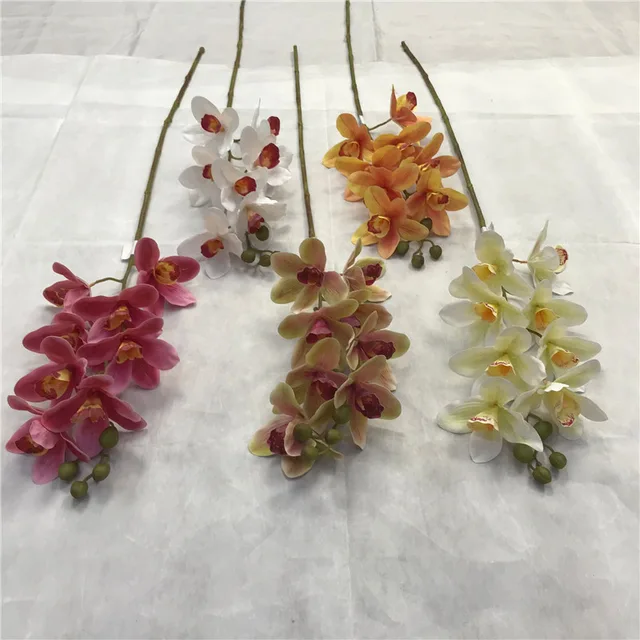 Single cattleya X8 heads