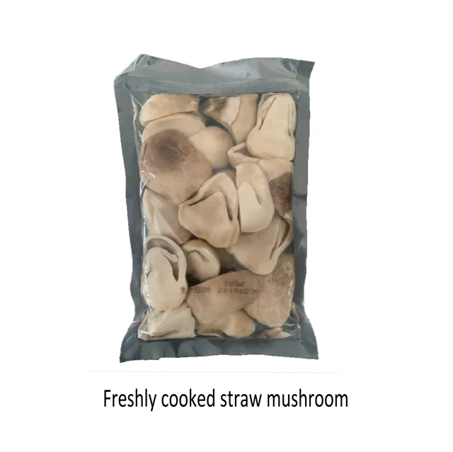 Straw mushroom