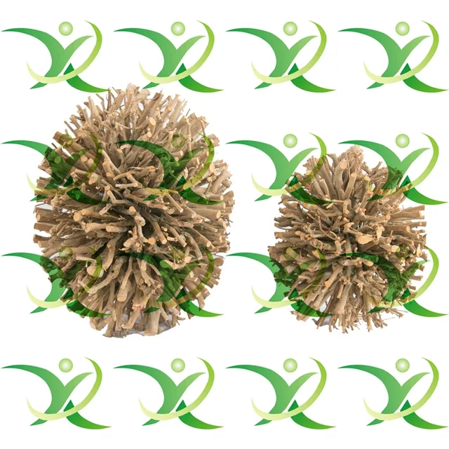 Tea Tree Decoration Ball With Egg Shape