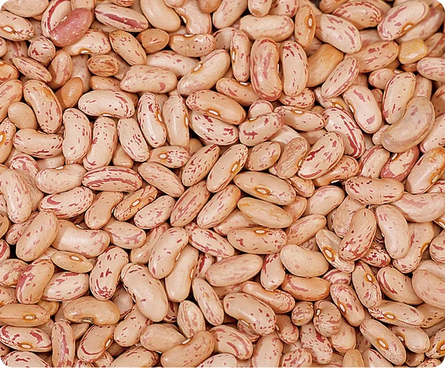 Kidney Beans