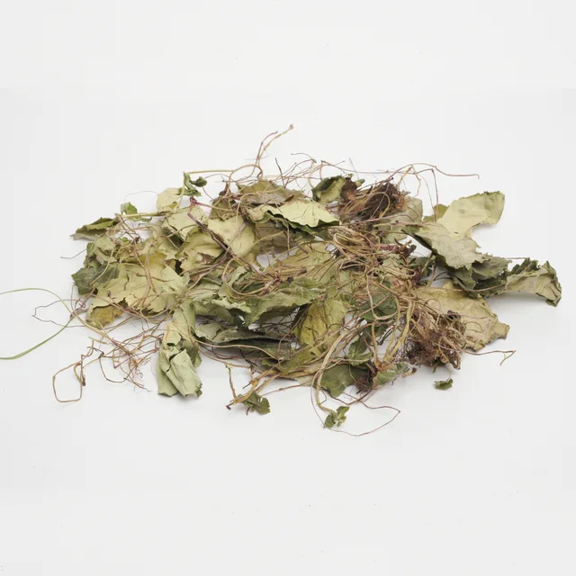 Herba saxifragae